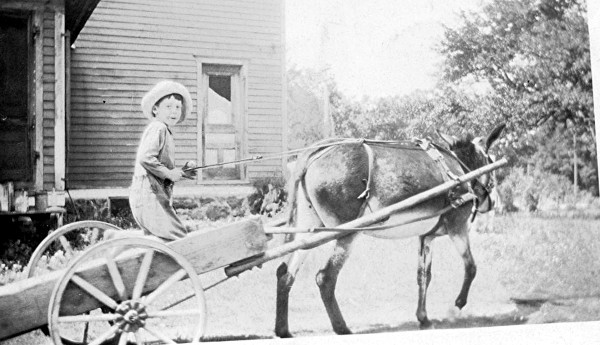 Baughn Cart and Mule 2